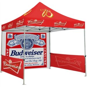 10 x 10 Canopy Tent
